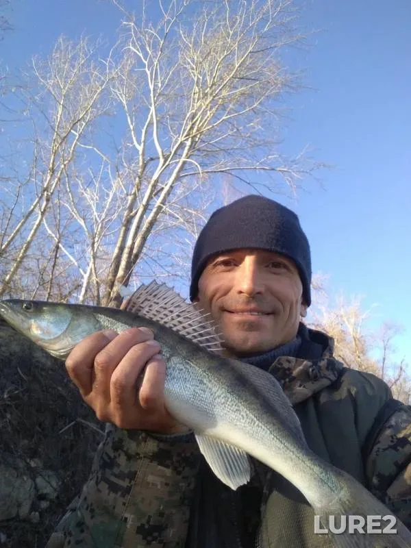Zander — Barnaulka, Oct 28, 2018