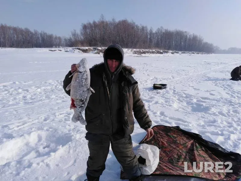 Carp — Ob, Feb 12, 2019