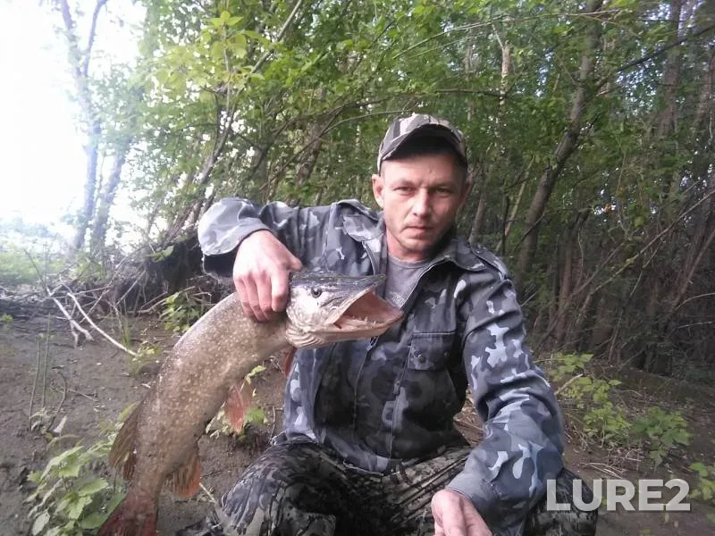 Pike — Malaya Kamenskaya protoka, Jun 29, 2019