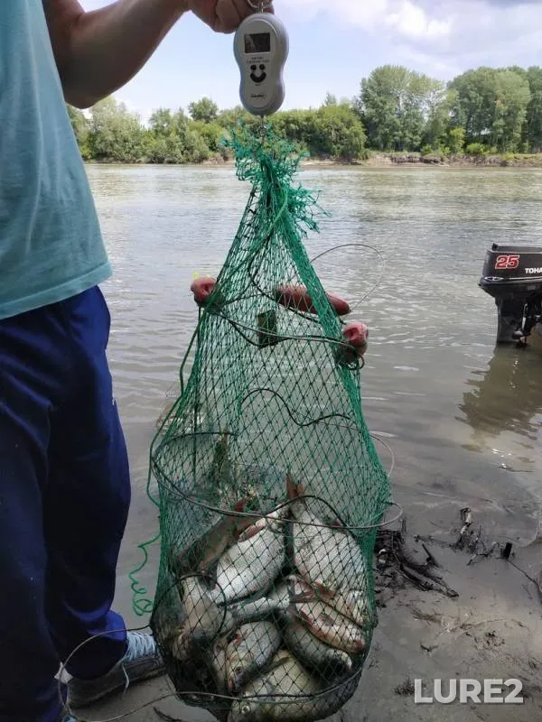 Bream — Ob, Jul 21, 2019