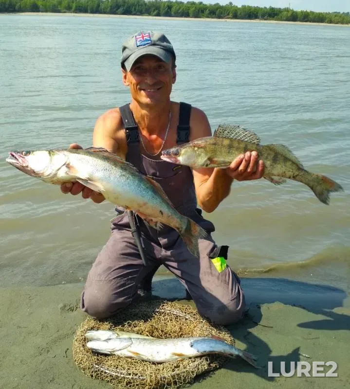 Pike, Zander — Ob, Jul 29, 2019
