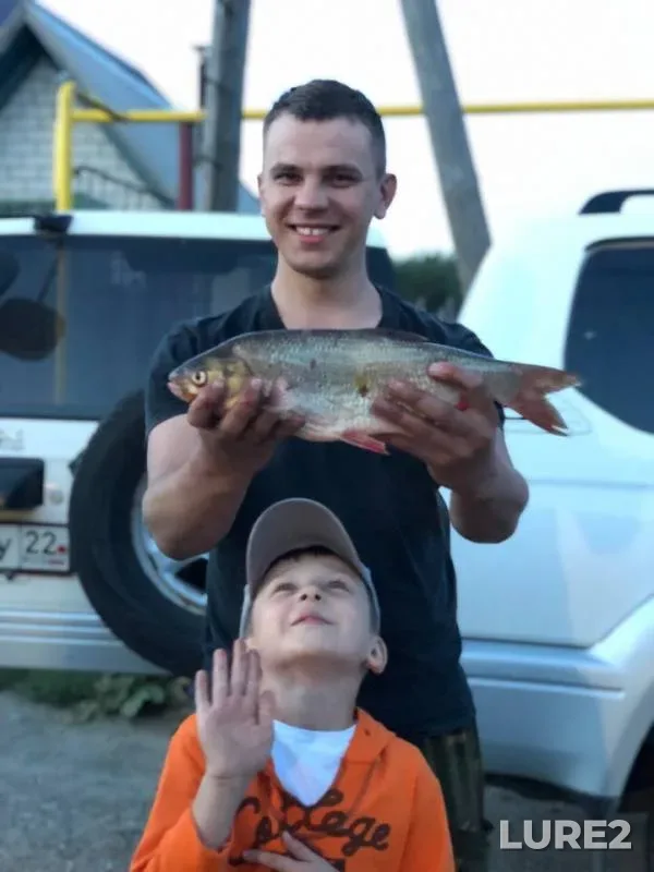 Crucian carp, Ide — Ob, Aug 14, 2019