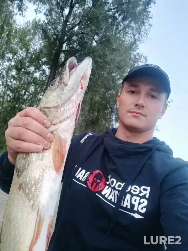 Perch, Pike — Ob, Sep 13, 2019