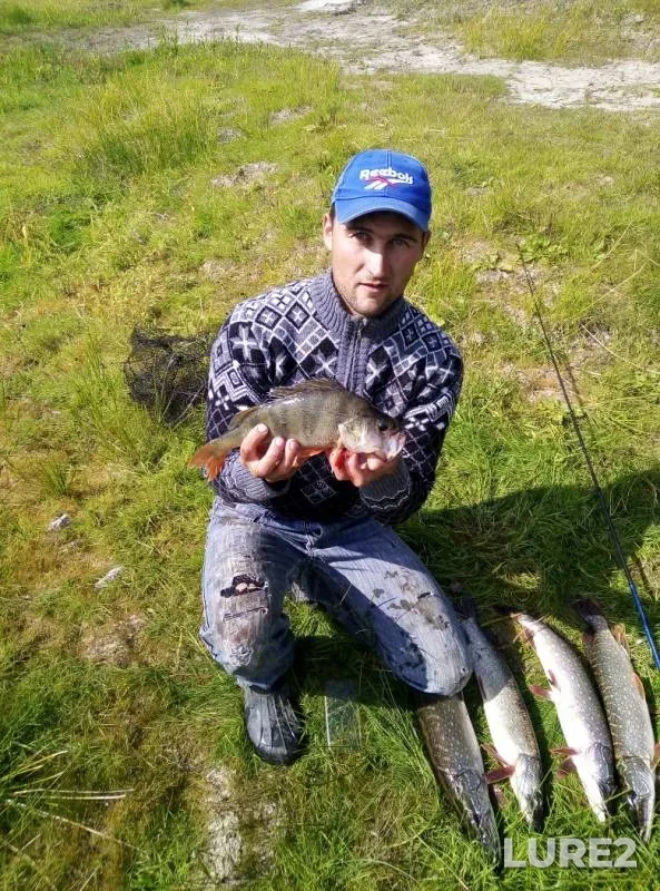 Perch, Pike — Malaya Cheremshanka, Sep 15, 2019