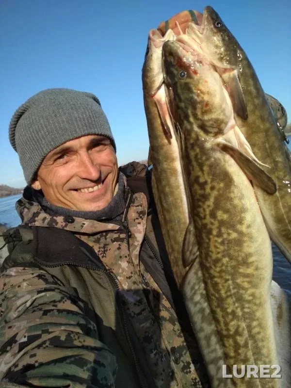 Burbot — Grebnoy kanal, Nov 07, 2019