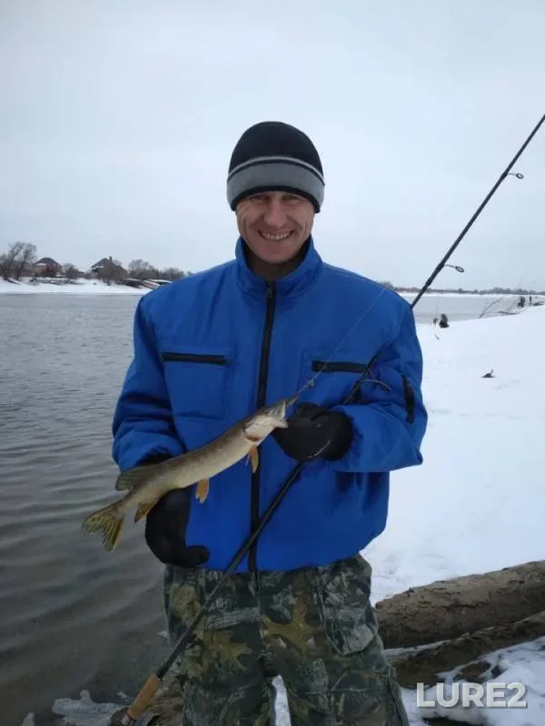 Perch, Pike — Moskva, Feb 09, 2019