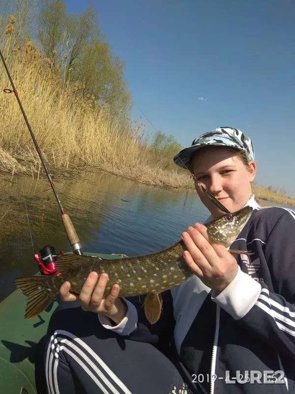 Pike — Saratovskaya oblast, Apr 25, 2019