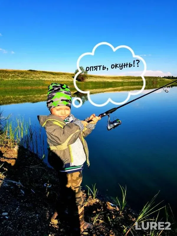 Perch — Voronezhskaya oblast, Kashirskiy rayon, Jul 10, 2019