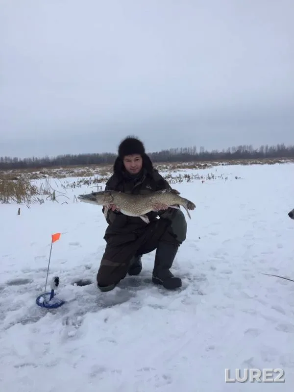 Pike — Belaya, Dec 04, 2018