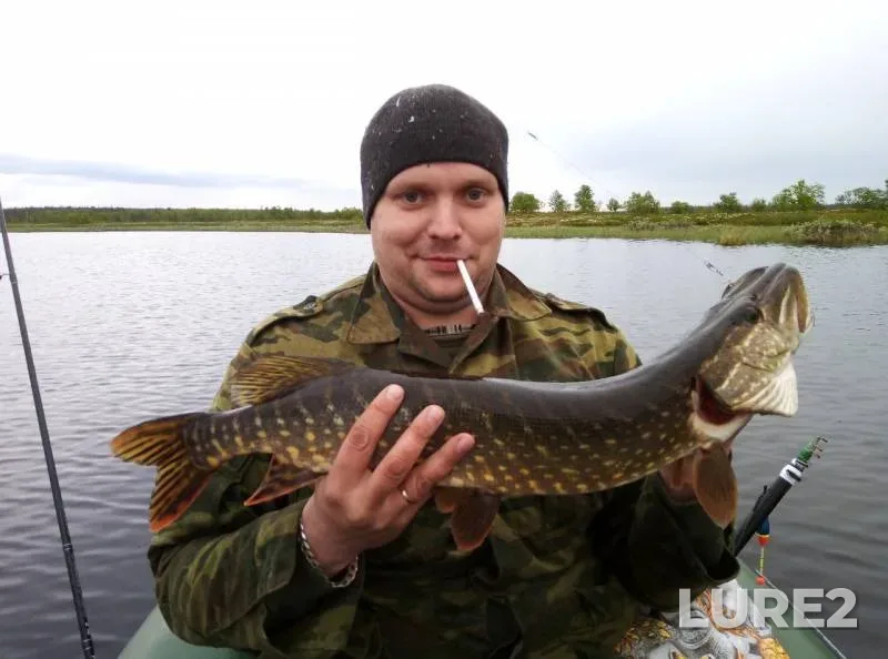 Pike — Sikir, Oct 11, 2019