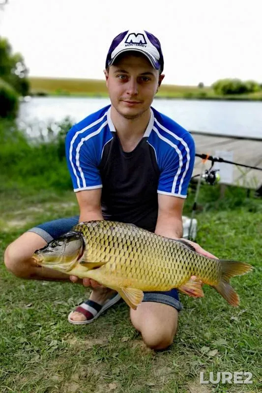 Carp — Orlovskaya oblast, Aug 24, 2019