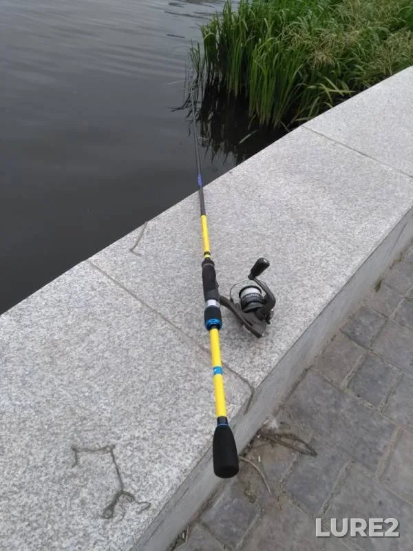 Asp, Perch — Orlik, Aug 16, 2019