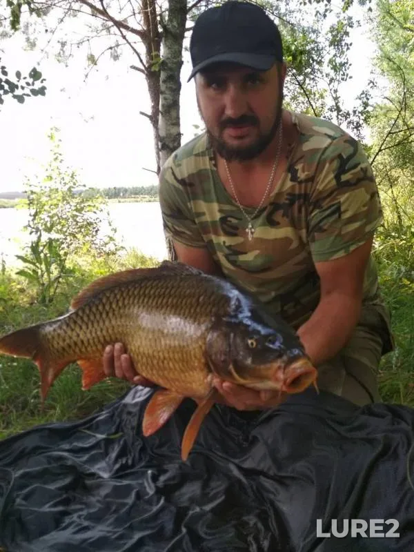 Carp — Optukha, Aug 12, 2019