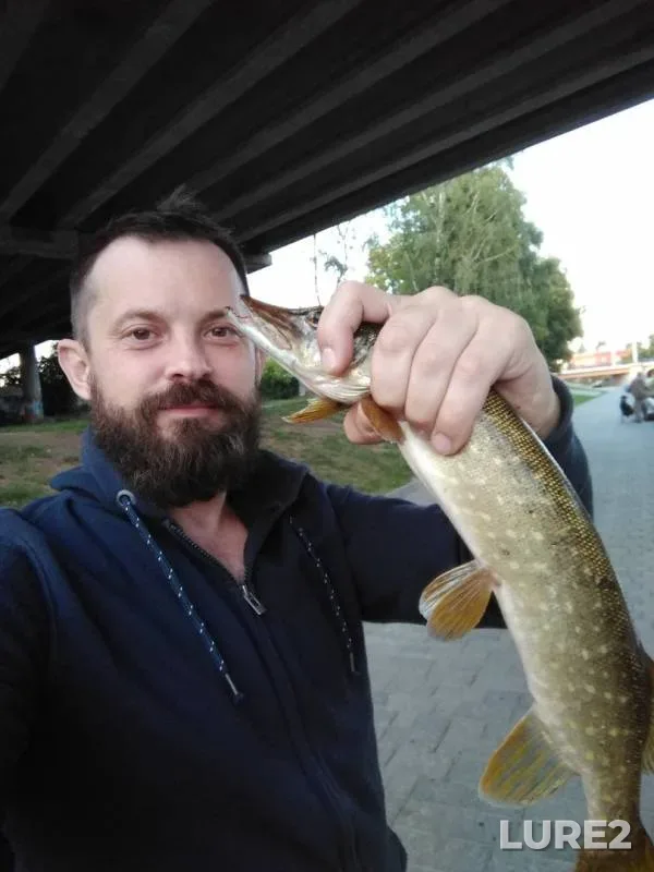 Pike — Orlik, Aug 09, 2019