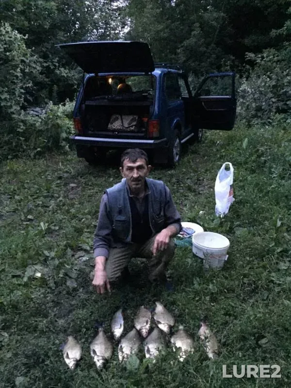 Bream — Oka, Aug 01, 2019