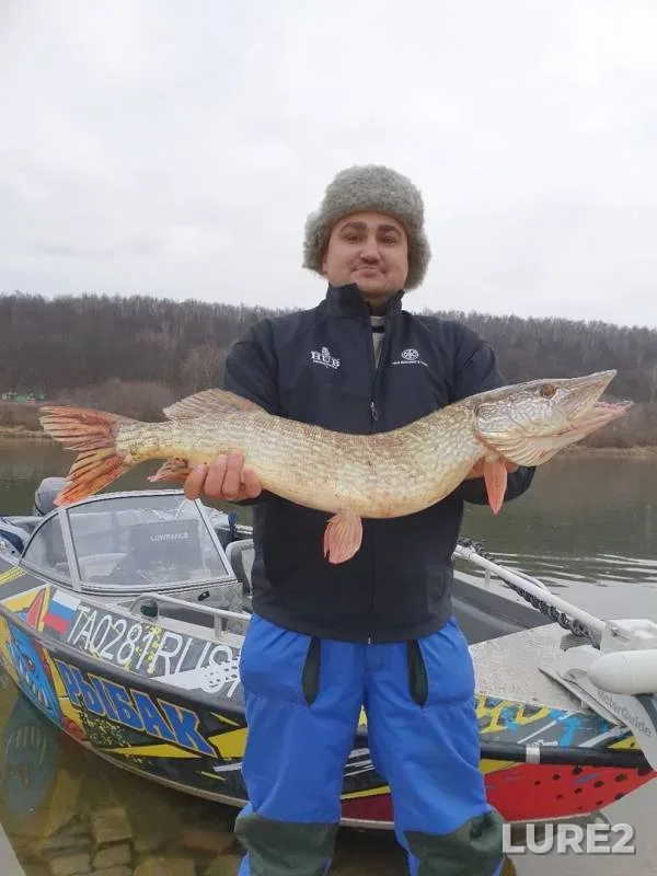 Pike, Zander — Oka, Nov 17, 2019