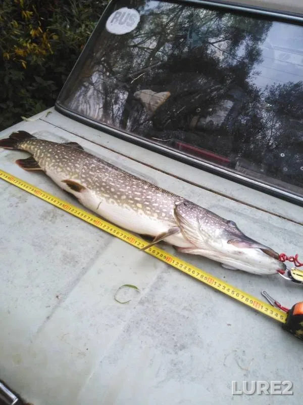 Pike — Oka, Oct 29, 2019