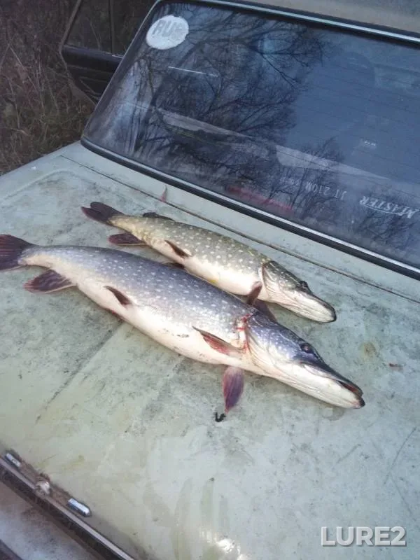 Pike — Oka, Oct 27, 2019