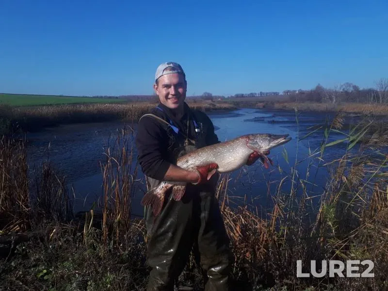 Pike — Orlovskaya oblast, Oct 25, 2019
