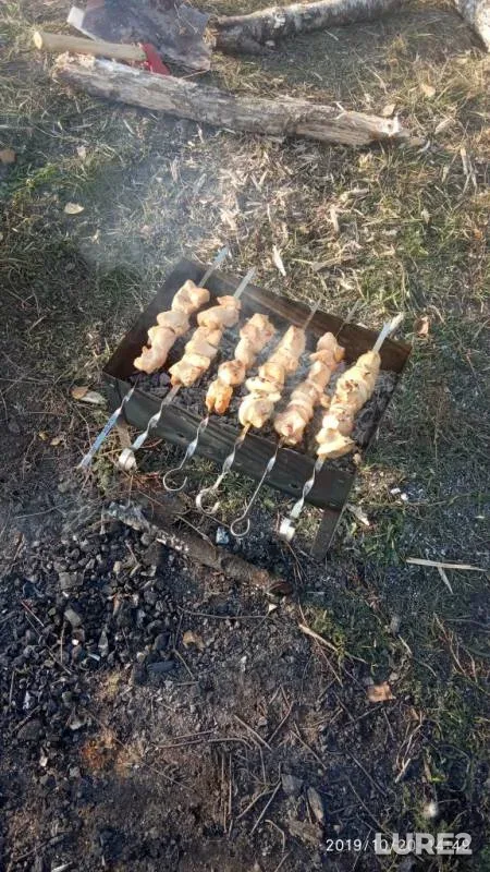 Bream, Crucian carp — Orlovskaya oblast, Oct 21, 2019