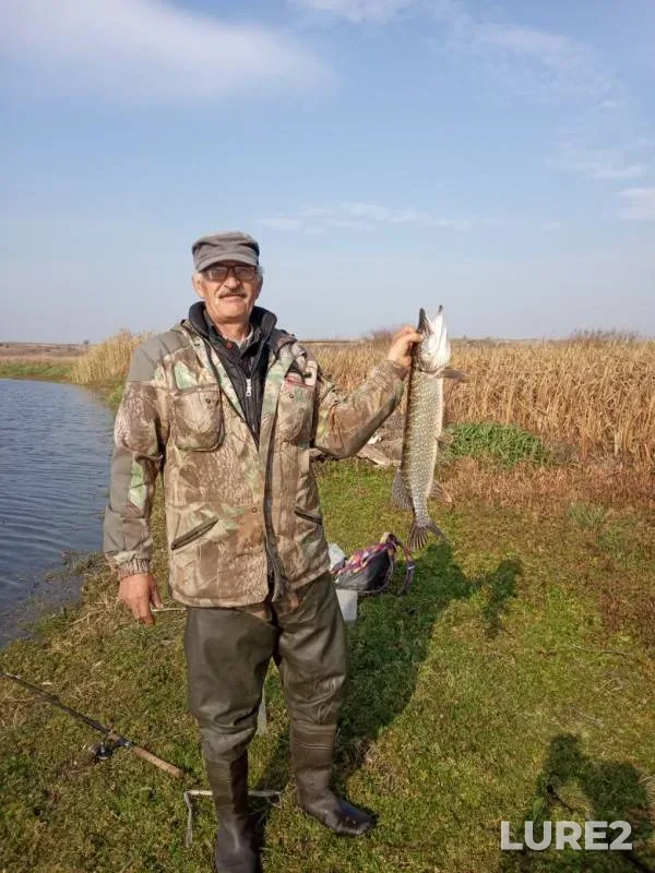 Pike — Neruch, Oct 20, 2019