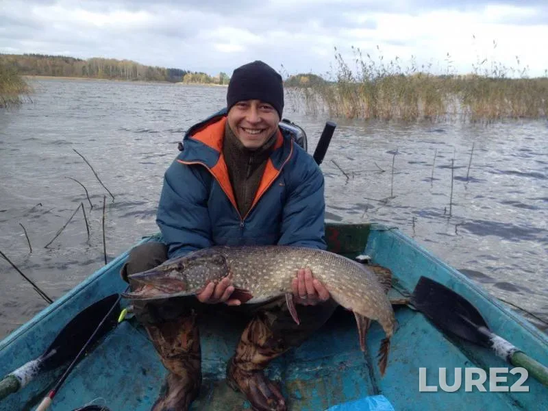 Pike — Respublika Kareliya, Lakhdenpokhskiy rayon, Oct 10, 2015