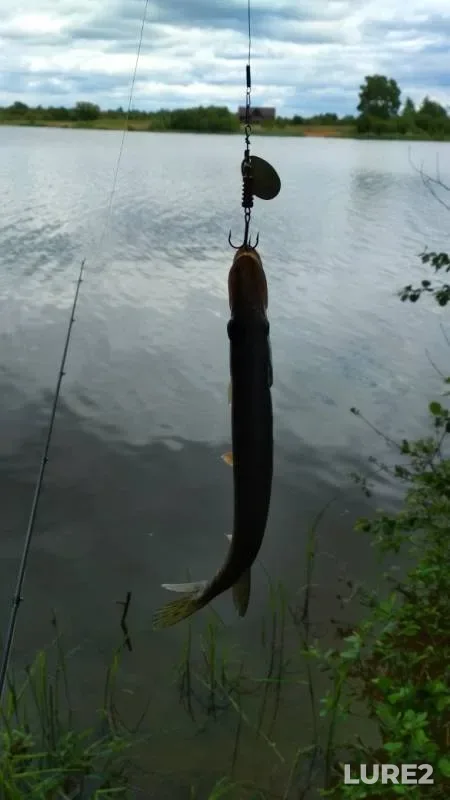 Pike — Strizhevskiy peschanyy karyer, Jun 16, 2019