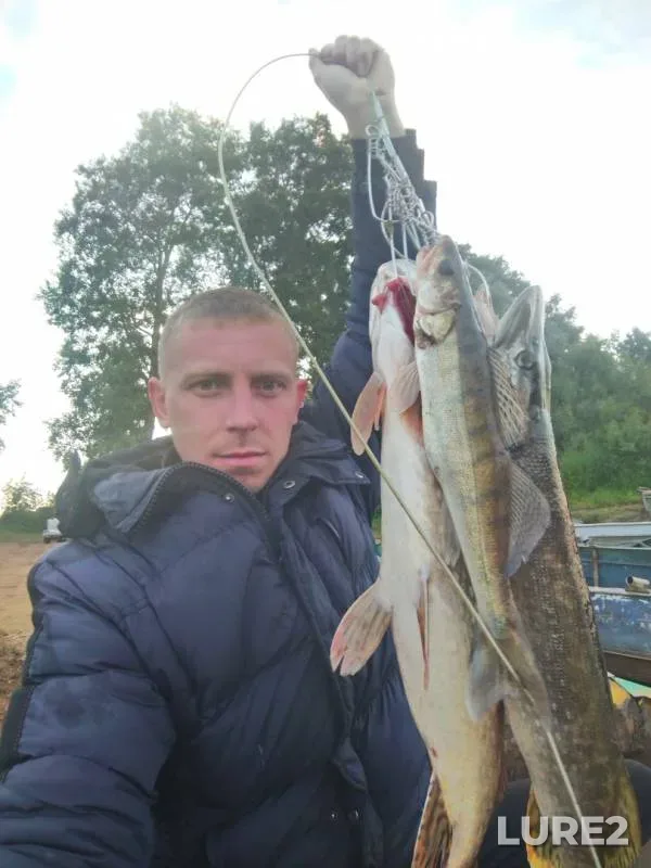Pike, Zander — Mityaginskaya, Jul 07, 2019