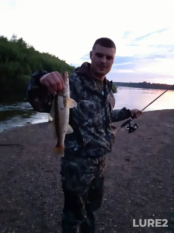 Zander — Vyatka, Jul 19, 2019