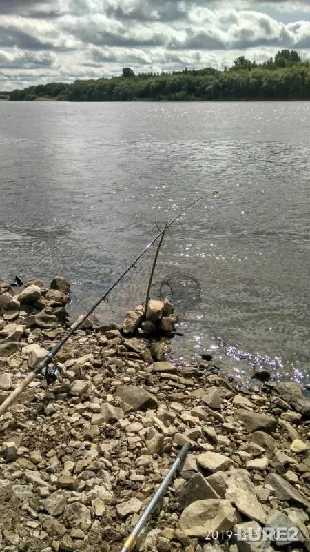 Bream — Vyatka, Aug 05, 2019