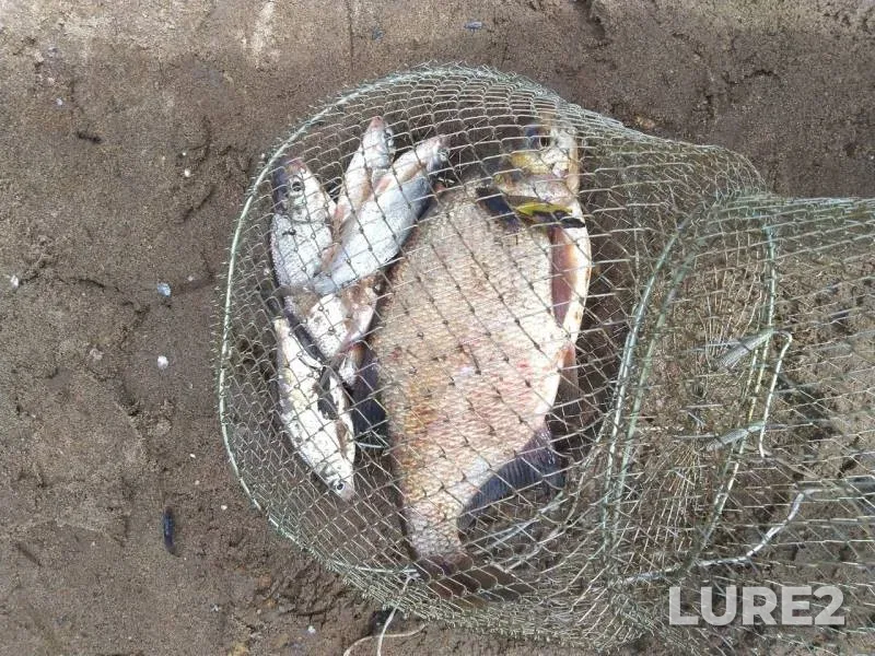 Bream — Vyatka, Aug 29, 2019
