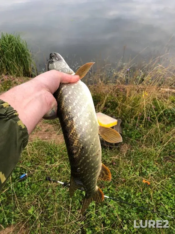 Pike — Pryamik, Sep 14, 2019
