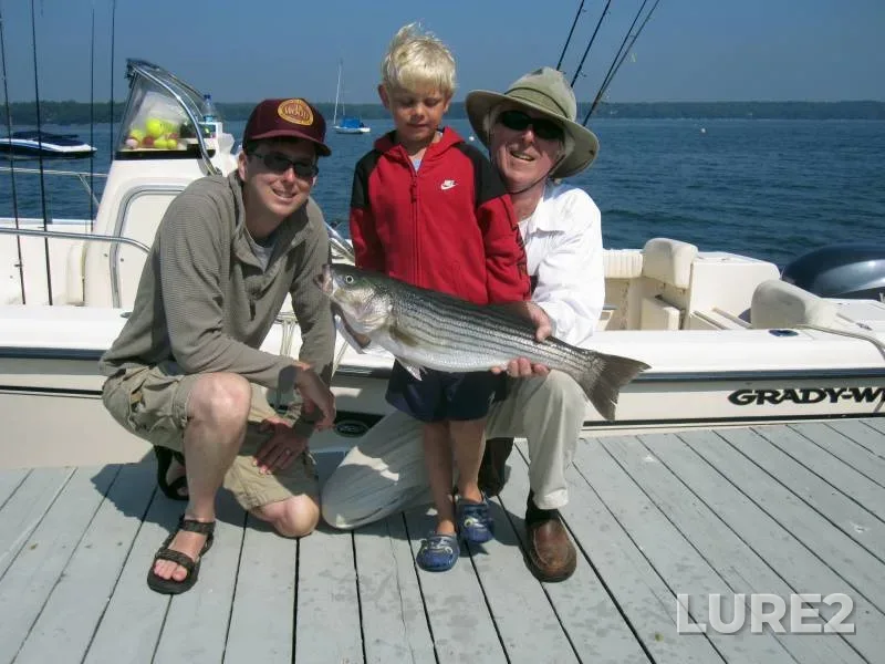 Striped bass — Casco Bay, Jun 23, 2018, 1:33 PM