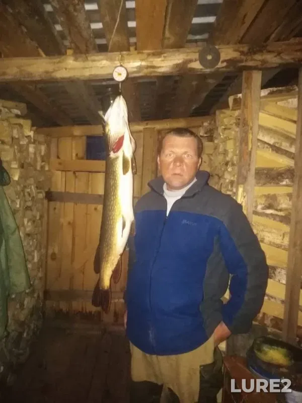 Pike — Shizhma, Sep 25, 2019