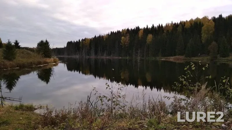 Pike — Babanovka, Sep 29, 2019
