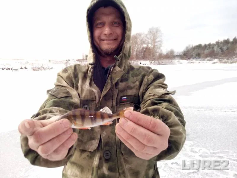 Perch — Prosnitsa, Nov 03, 2019