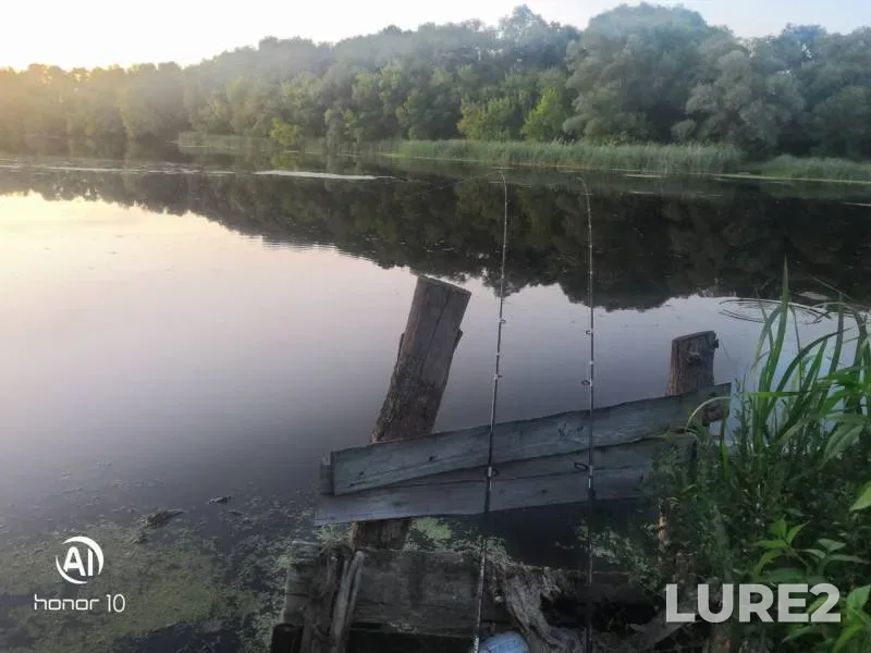 Roach — Seym, Jul 30, 2019