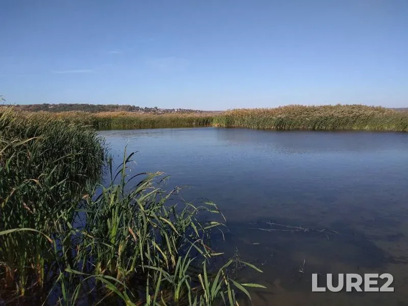 Pike — Kurskoye, Oct 02, 2019
