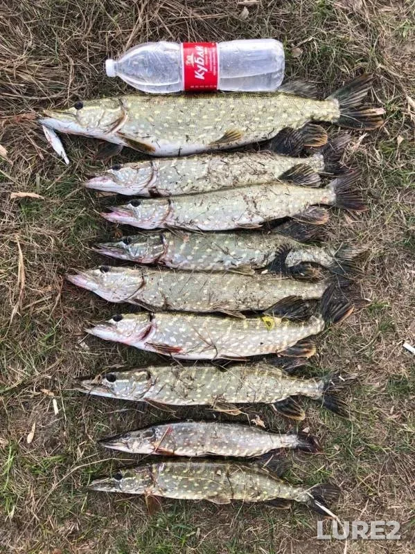Pike — Seym, Oct 13, 2019