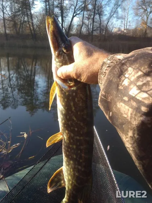 Pike — Tuskar, Oct 21, 2019