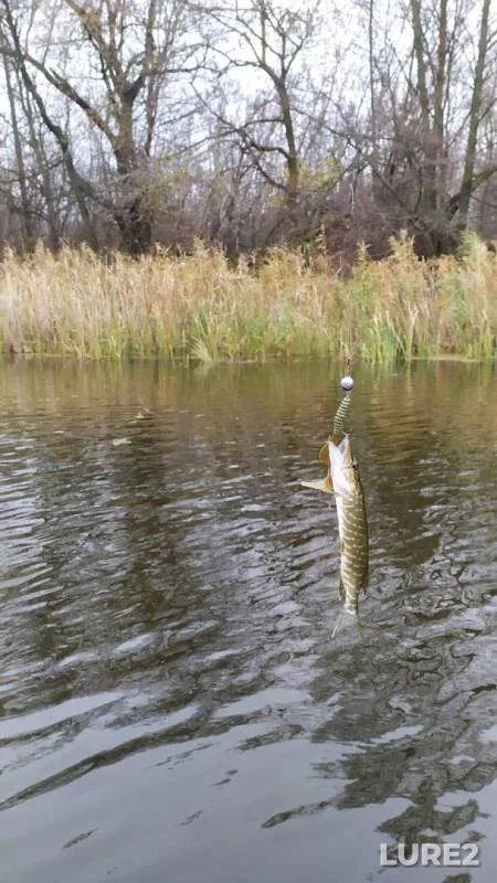 Pike — Psel / Psyol, Oct 27, 2019