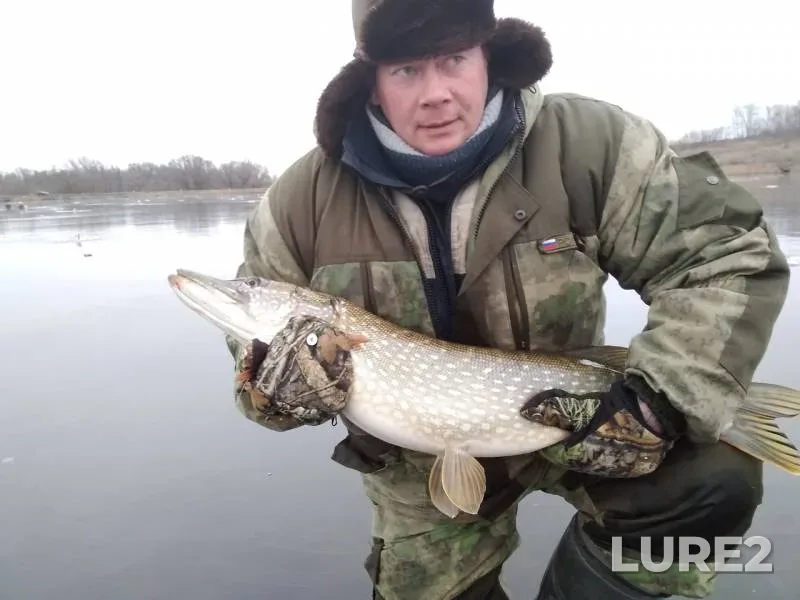 Pike — Kurskaya oblast, Nov 28, 2019