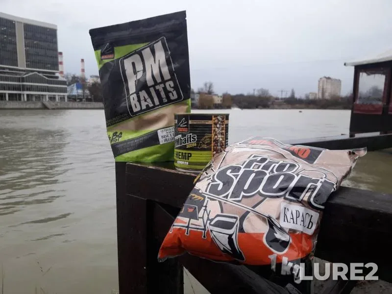 White bream — Staraya Kuban, Jan 12, 2019