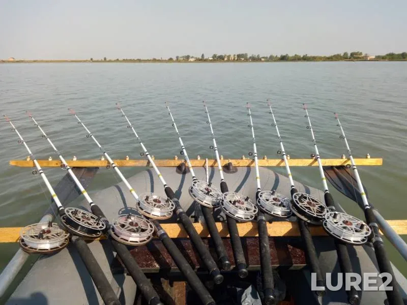 Carp — Karataban, Jul 27, 2019