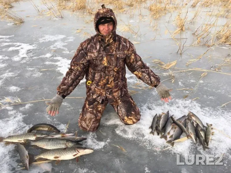 Pike, Rudd — Kyzylordinskaya oblast, Jan 31, 2019