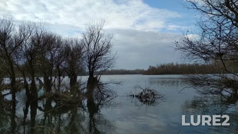 Pike — Respublika Adygeya, Krasnogvardeyskiy rayon, Feb 01, 2019