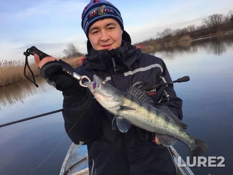 Zander — 3ya-Kochety, Mar 14, 2019