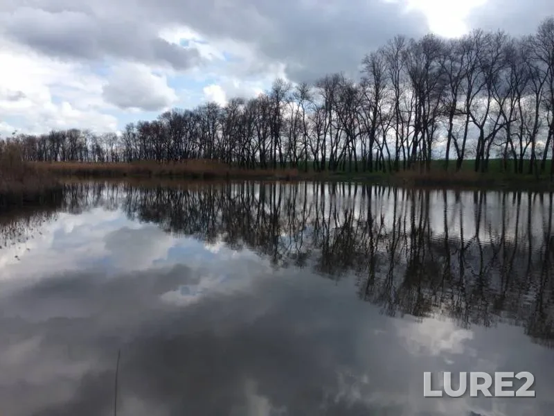 Carp, Crucian carp — Krasnodarskiy kray, Dinskoy rayon, Apr 17, 2019