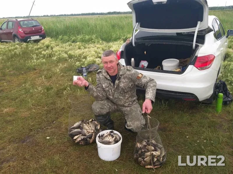 Crucian carp — Uyelgi, Jul 04, 2019