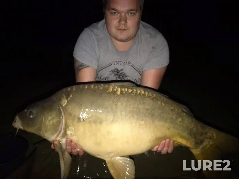 Crucian carp — Vostochnyy Dagomys, May 04, 2019
